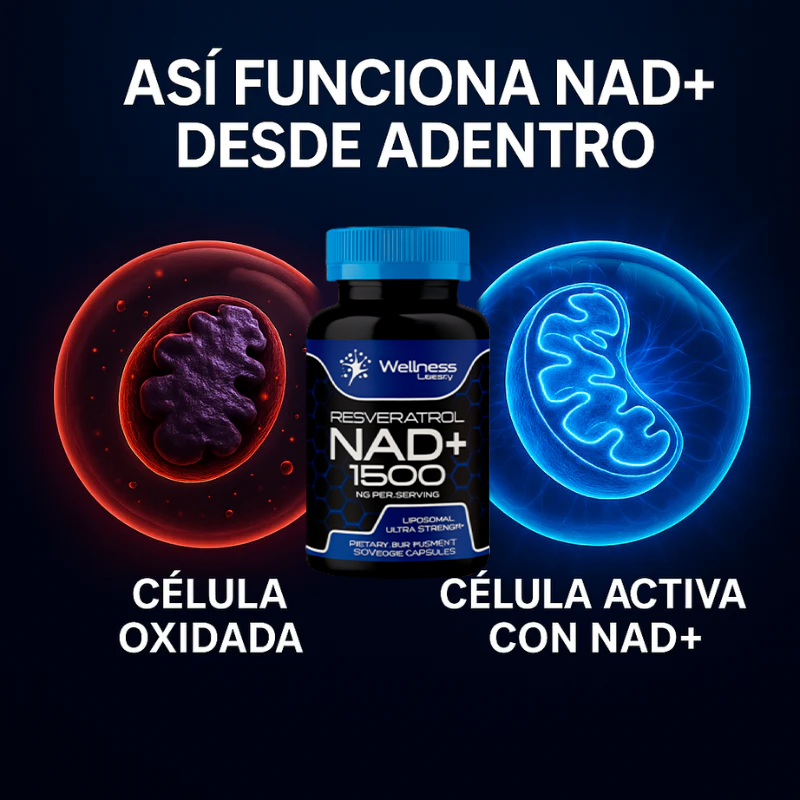 NAD+ Vitality™ – El secreto de la longevidad que tu cuerpo lleva años pidiendo.